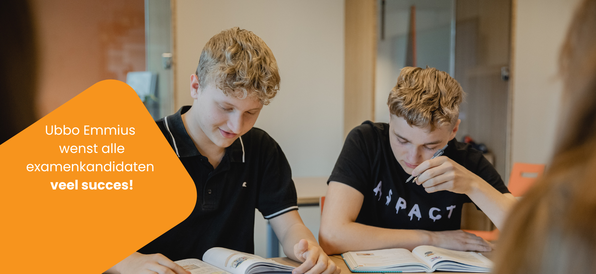 Sfeerafbeelding bij Breng je talenten tot bloei!