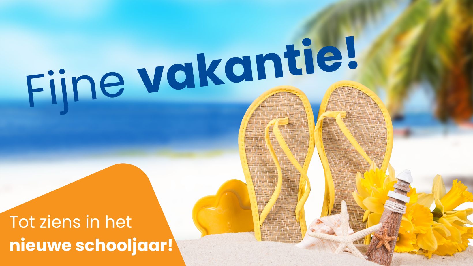 Sfeerafbeelding bij Breng je talenten tot bloei!