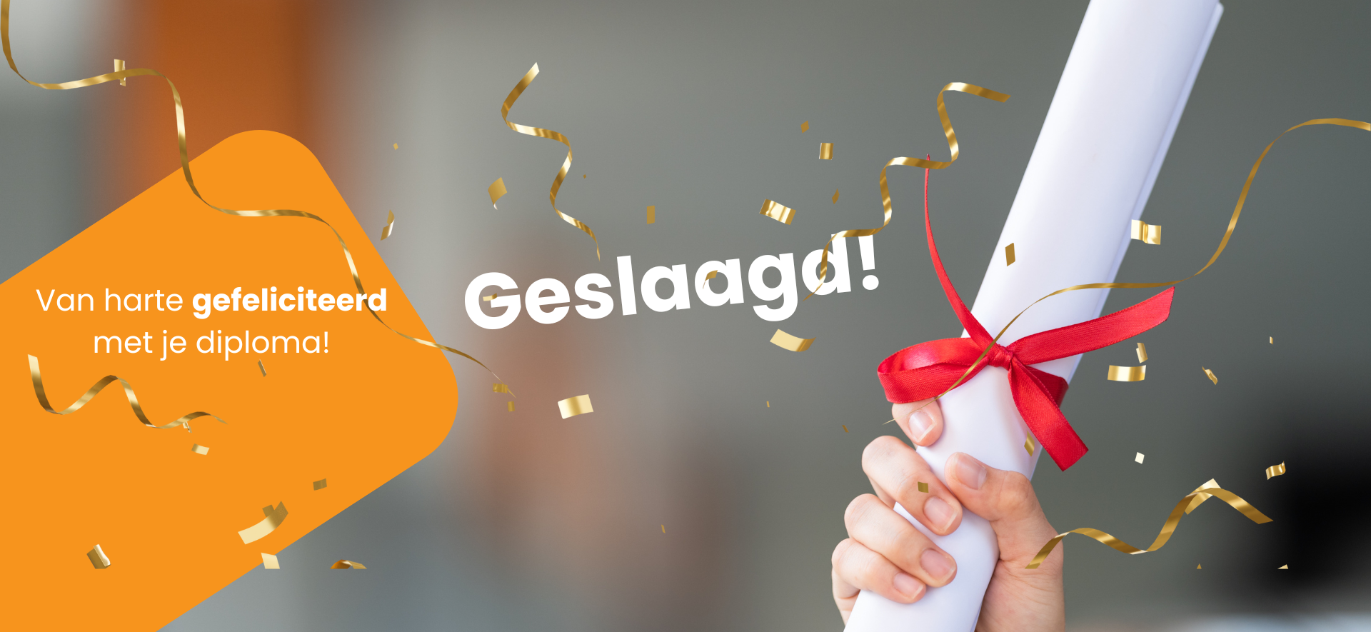 Sfeerafbeelding bij Breng je talenten tot bloei!